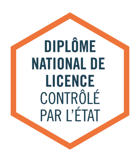 Licence Langues Étrangères Appliquées Catalogue Des Formations De Linstitut Catholique De 6907